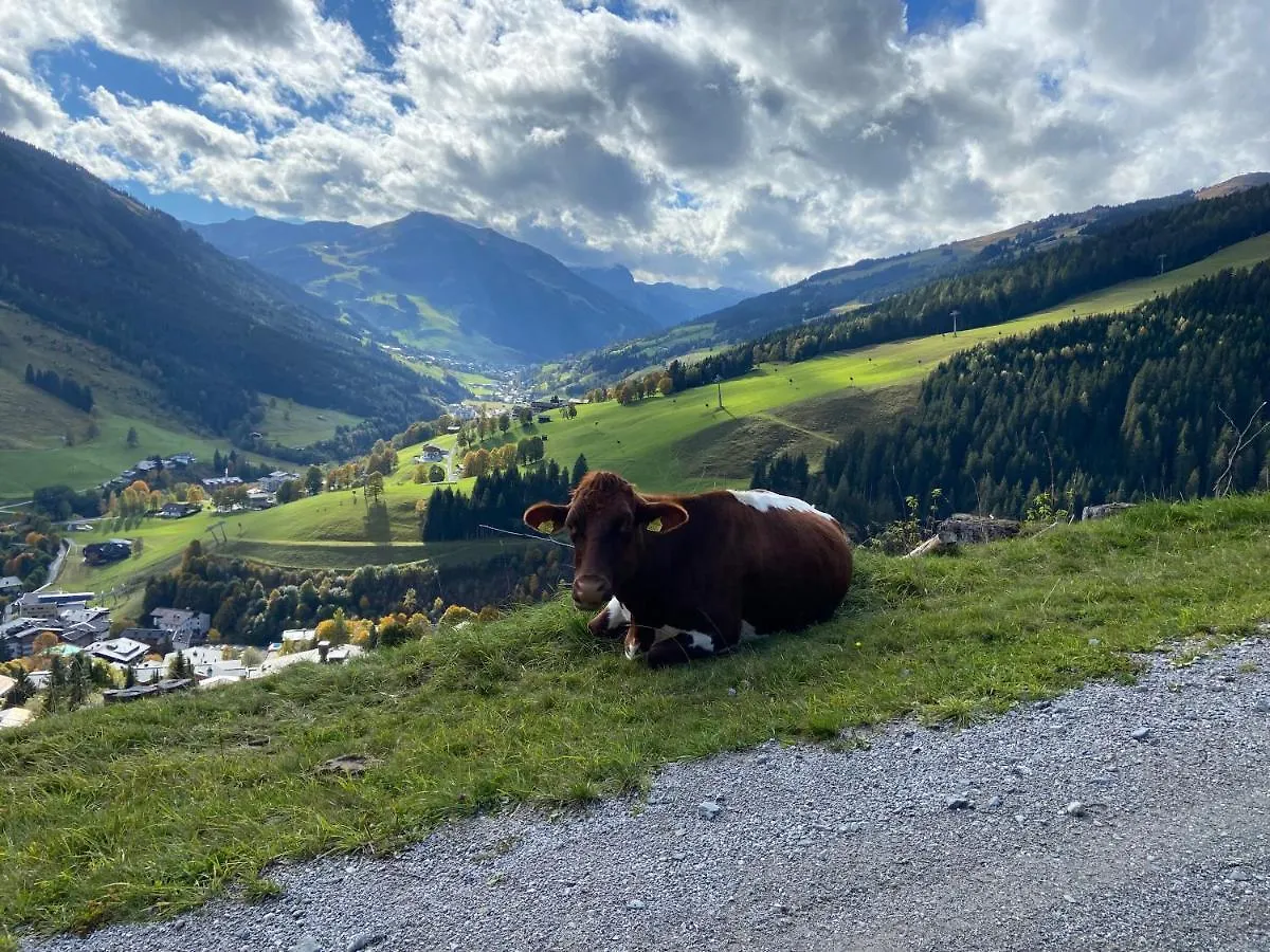 Genieten In Saalbach, Alpenresort Saalbach Top D1 By Droomvilla 0*,  Österreich
