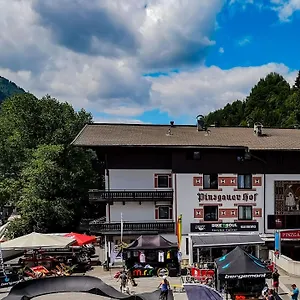 3* Отель Pinzgauerhof & Bike - Inclusive Evening Dinner
